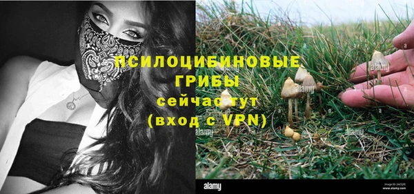 бошки Барнаул