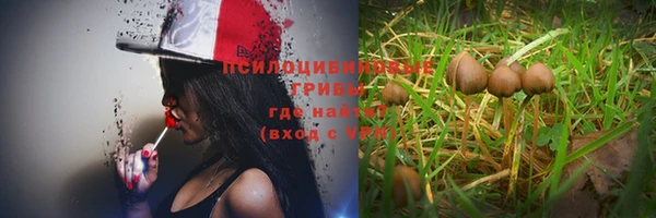 бошки Барнаул