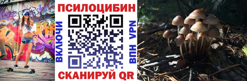 Галлюциногенные грибы прущие грибы  где продают наркотики  Багратионовск 