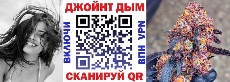 Конопля план  Багратионовск 